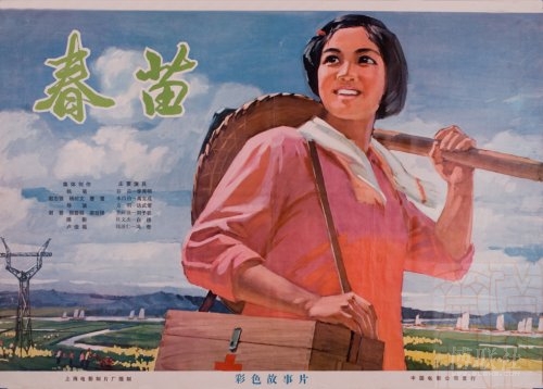 购买假捷克共和国驾照